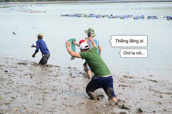 trải nghiệm lội bùn bắt cá