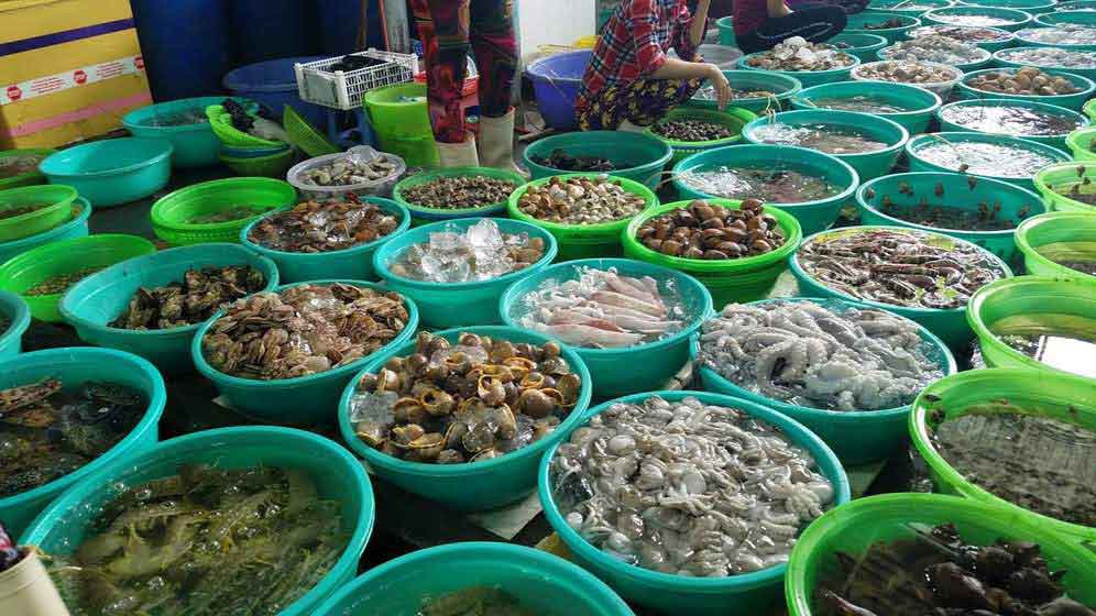 chợ hải sản Hàng Dương